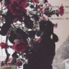can't take my eyes off of you (talk) 