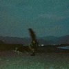 来我这 Come here