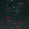 Cøøpër_C - 红颜祸水