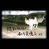 旁边(喂动物的人都不是坏人)