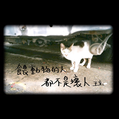 旁边(喂动物的人都不是坏人)