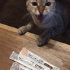 喂动物的人都不是坏人（雨天侧录版）