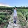 My红糖