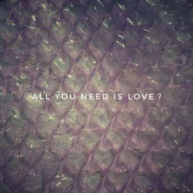 你不会喜欢我的大脑（aka. All you need is love？）