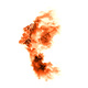 I am the flame
