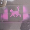 街猫 Street Cat_木吉他版