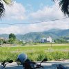 过渡(Demo)