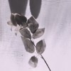 Miss u…(Demo)