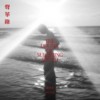 【声纳之境：实验合成汪洋】The Realm of Sonar：Experimental Synthetic Ocean