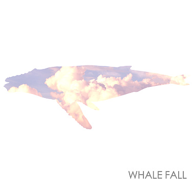 Whale Fall - 《捧在手心的那一颗》demo