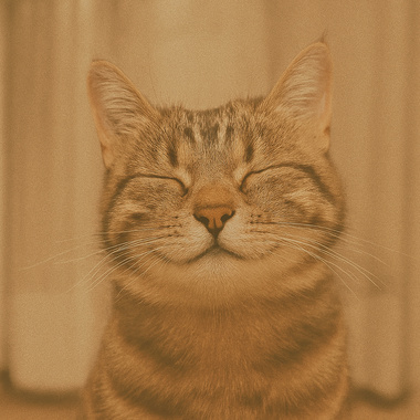 我不是不快乐，我只是看起来很像