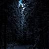 Dark Forest (demo)