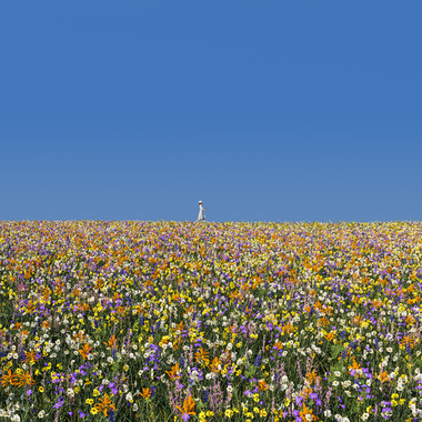 You Will Always Be feat. santpoort