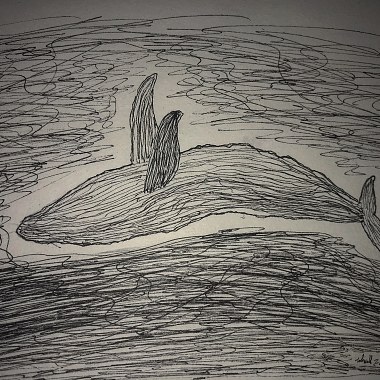 鲸落 Whale Fall