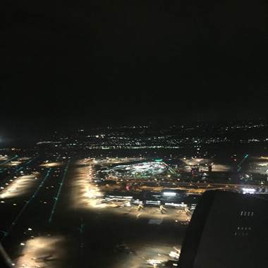 鸟