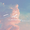 一天 a perfect day