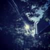 路 - Blue Nig7t