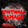Emotional Damage精神伤害