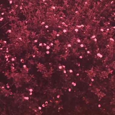 Artificial