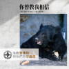 好歌