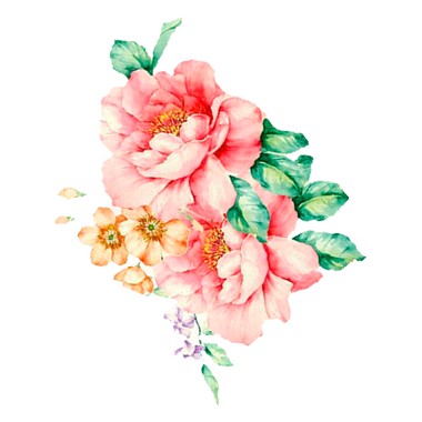 干燥花 (cover)