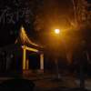 夜灯