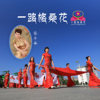 一路格桑花