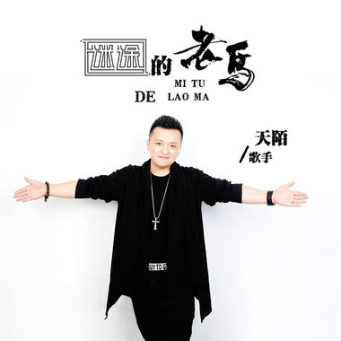 迷途的老马