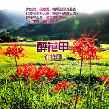 醉花甲-许祥麟