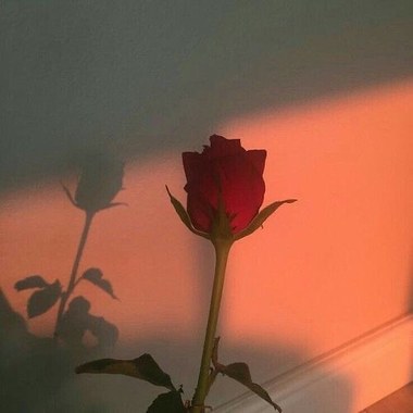 终于等到了她