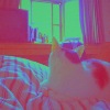 给你我最好的