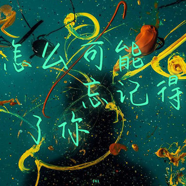 543-【怎么可能忘记得了你】