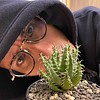 beanstalk_1005 (demo version)