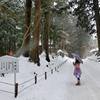 雪の国度