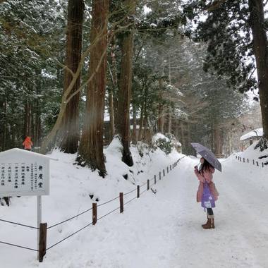 雪の国度