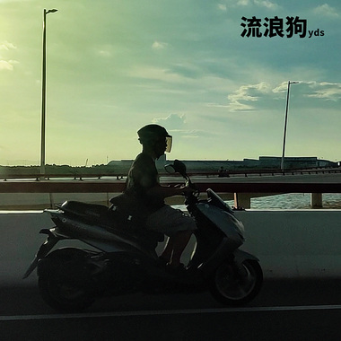 流浪狗