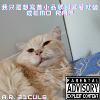 我只是想写首小品歌却写著就变成emo rap(Demo)