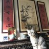 大雨过后