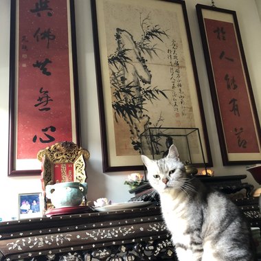 大雨过后
