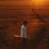 依稀少年