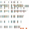 Salamander - DEPENDS (Master_WAV16_44.1KHz)
