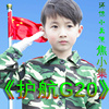 焦小集《护航G20》