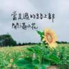 当走过的路上都开满小花