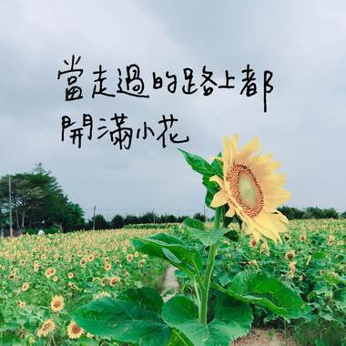 当走过的路上都开满小花