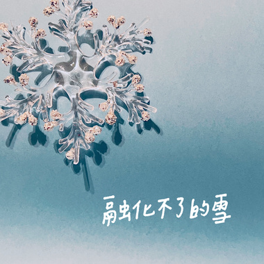 融化不了的雪