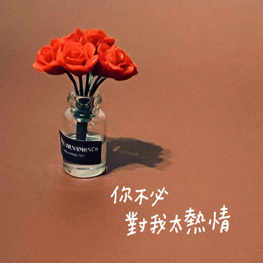 你不必对我太热情