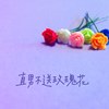 直男不送玫瑰花