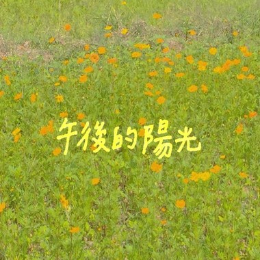 午后的阳光