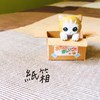 纸箱