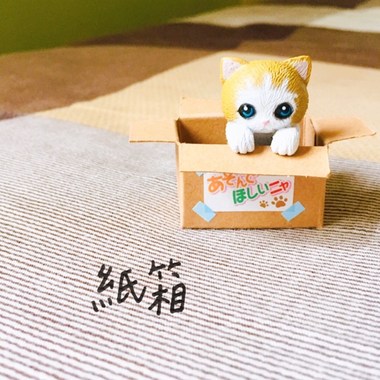 纸箱